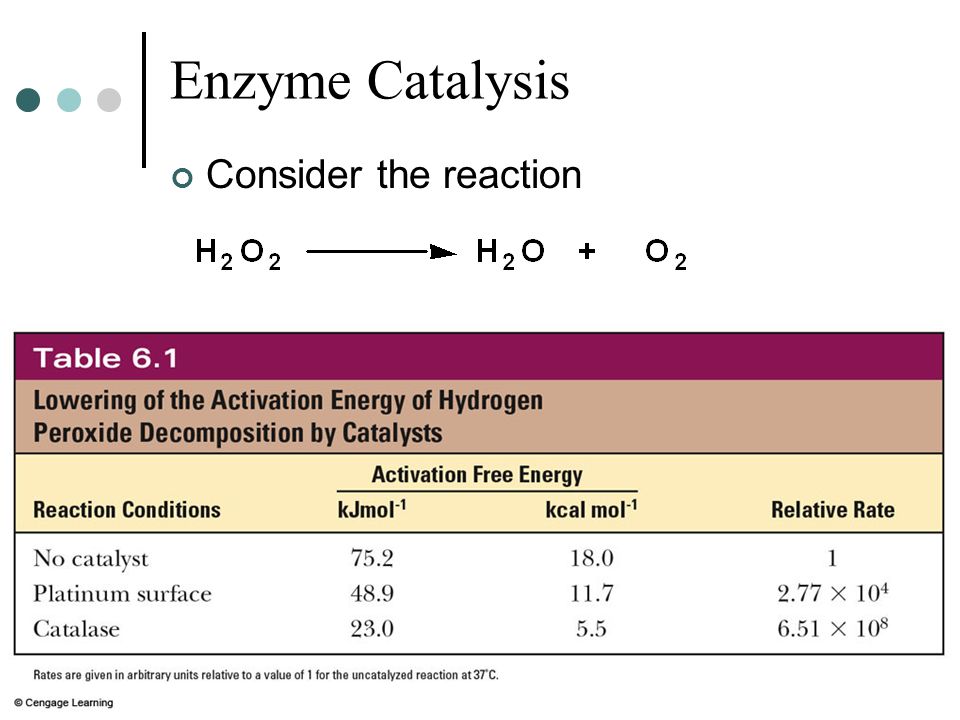 Enzymes Are Catalysts